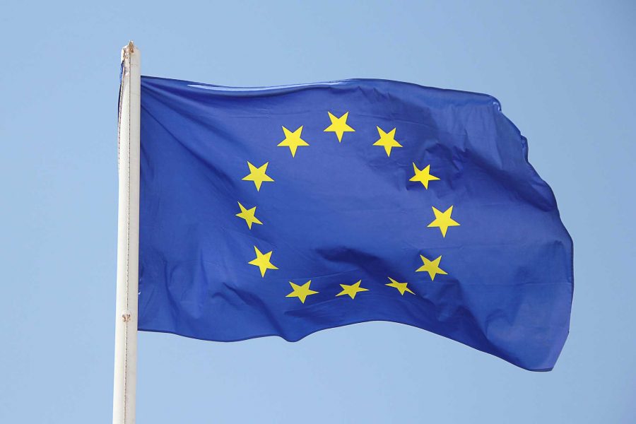 EU-Flagge - FDP Edingen-Neckarhausen